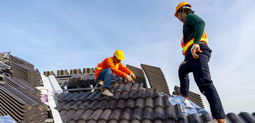 Professional Roofing Services in Waukegan, IL