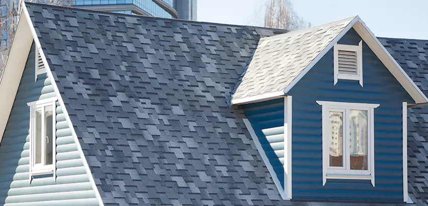 Shingle Roof Maintenance in Waukegan