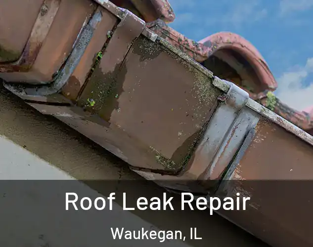  Roof Leak Repair Waukegan, IL