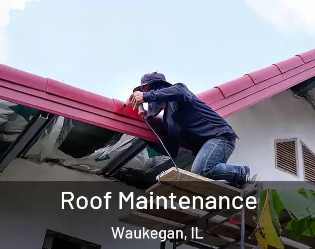 Roof Maintenance Waukegan, IL