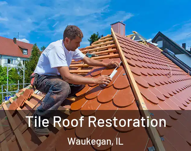  Tile Roof Restoration Waukegan, IL